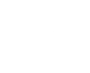 Butterfly Volunteer Service